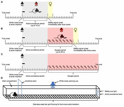 Repeated Cocaine Exposure Attenuates the Desire to Actively Avoid: A Novel Active Avoidance Runway Task